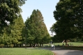 360x240_pk02.jpg
